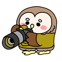 カメラマンフクロウ